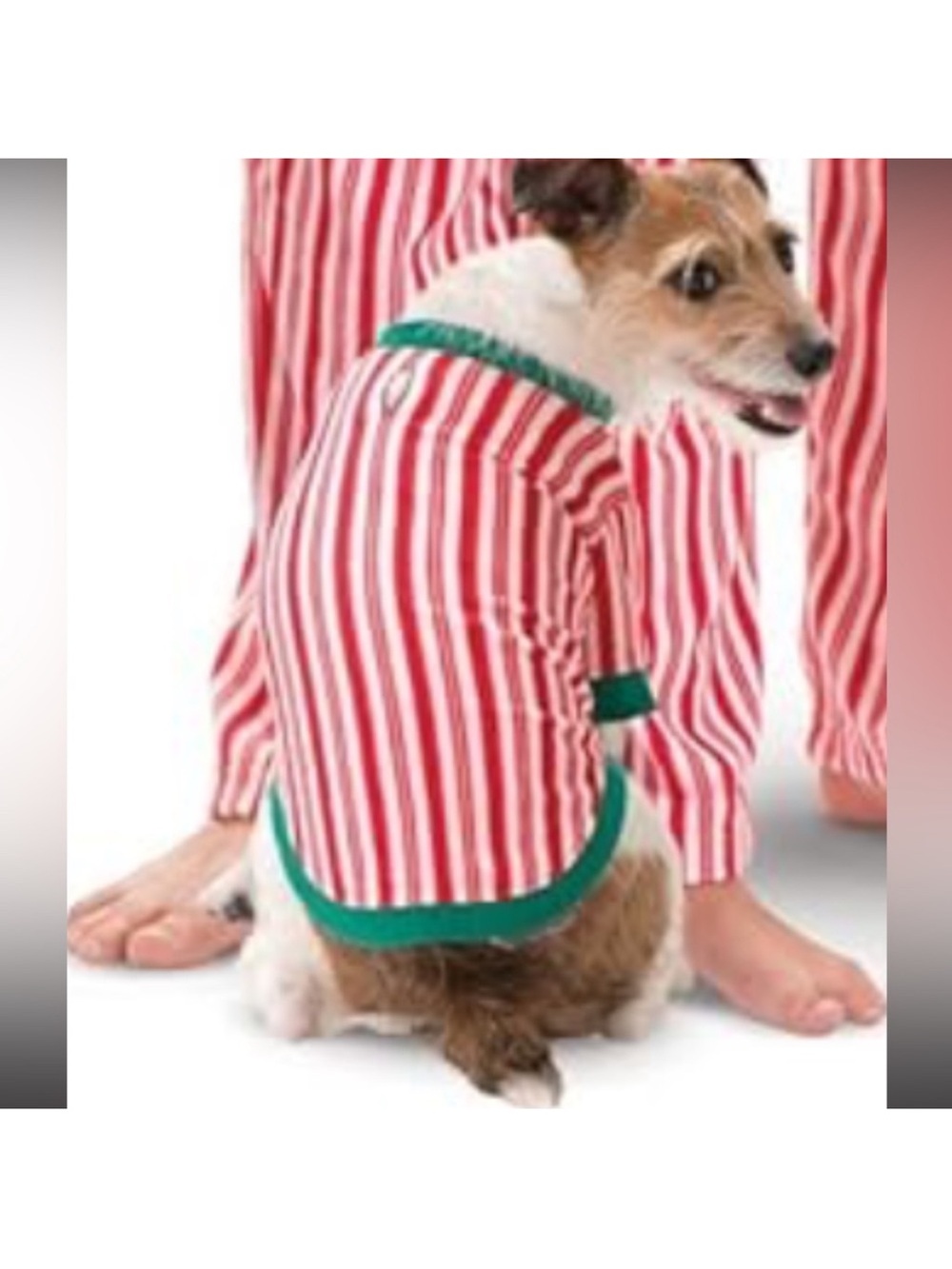 Pajamagram pet’s onesie pajama matching christmas pjs
